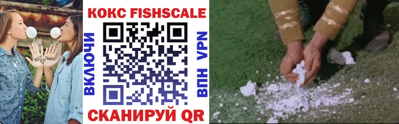 COCAIN Fish Scale  Ставрополь 