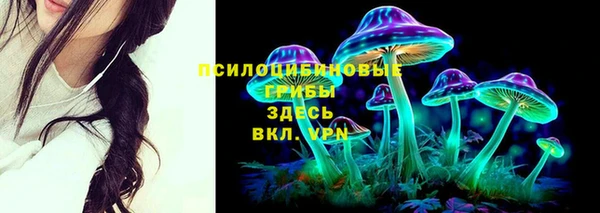 мяу мяу мука Алексеевка