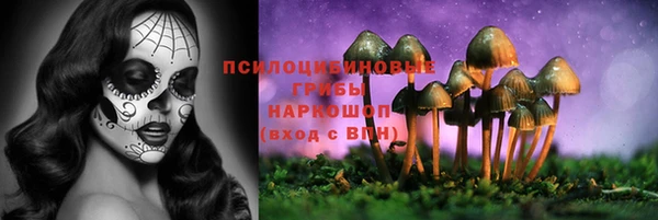амф Алексин