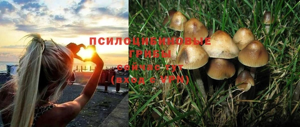 мяу мяу мука Алексеевка